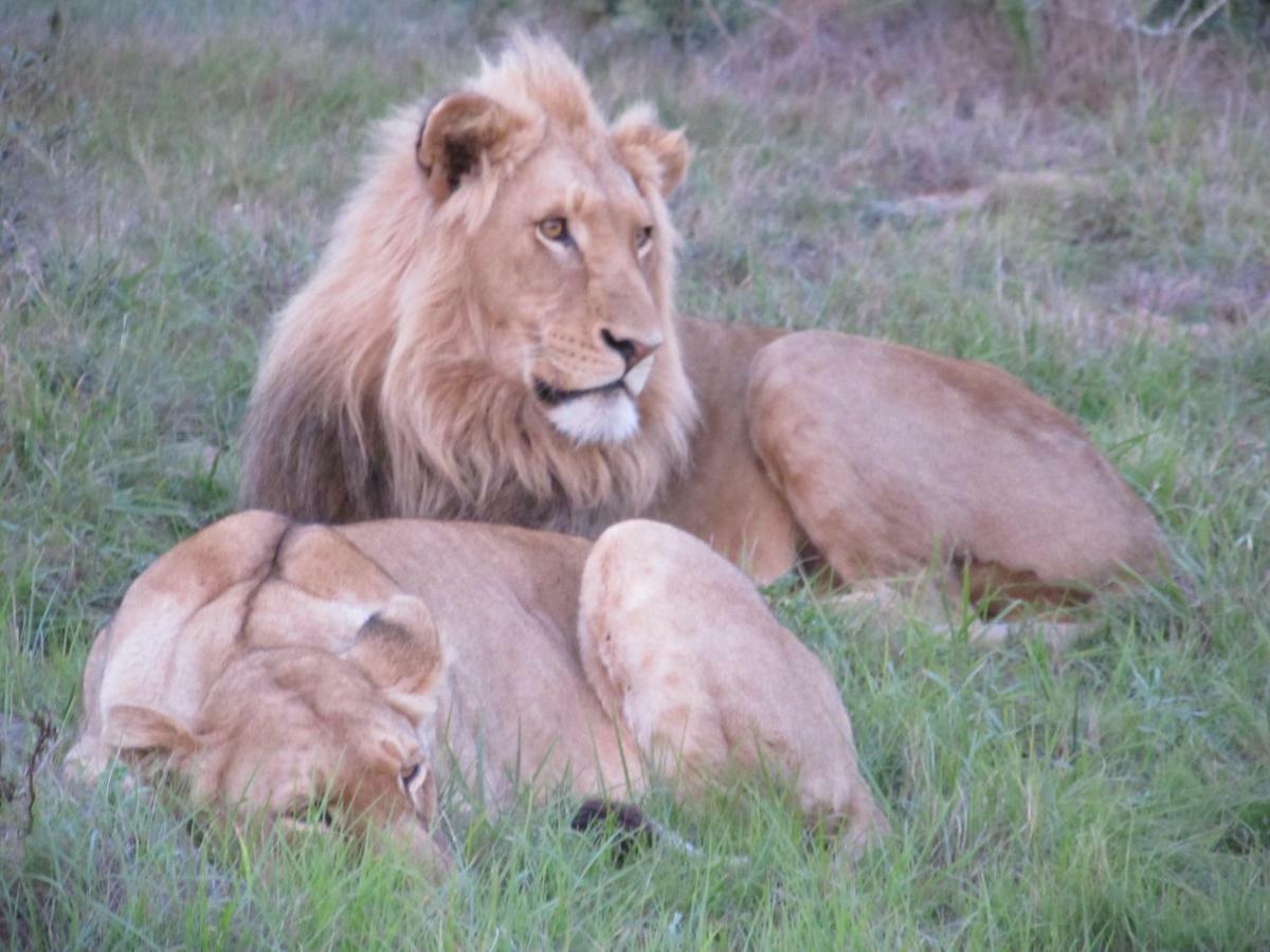 Addo Gateway Lodge Colchester Buitenkant foto