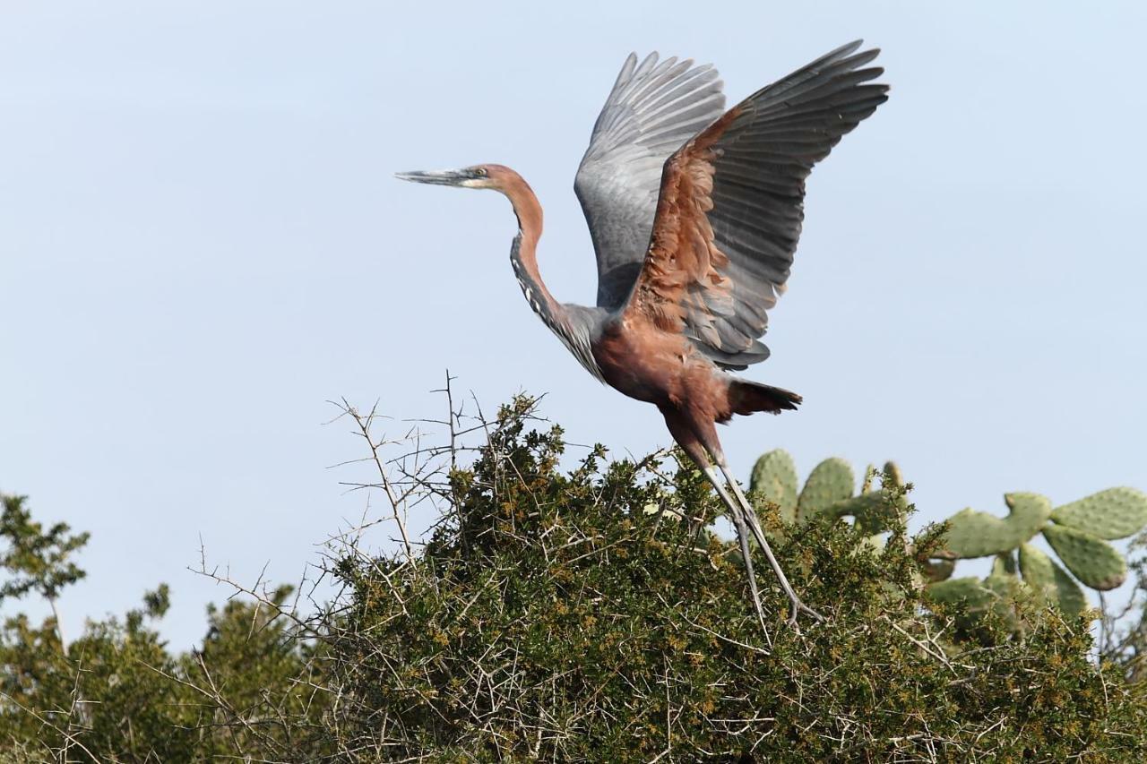 Addo Gateway Lodge Colchester Buitenkant foto